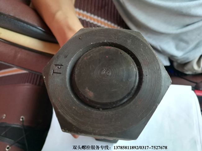 �p�^�������a(ch��n)�S��